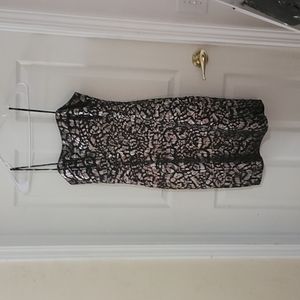 Dress barn collection size 10 copper leopard print